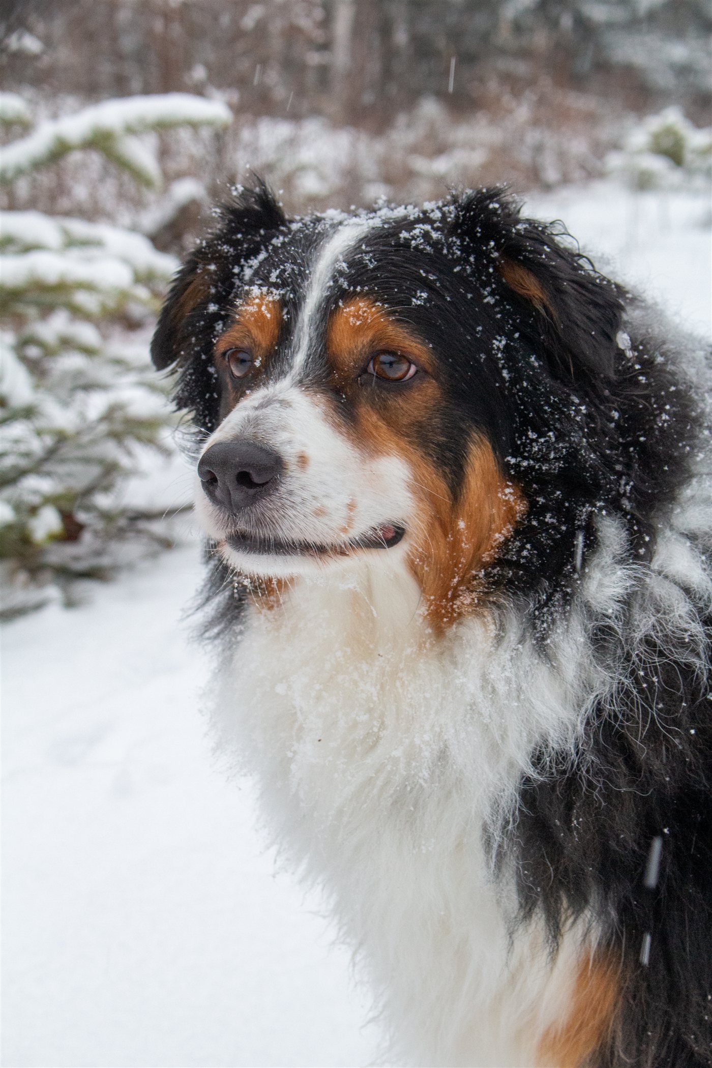 Creative Nature Photography